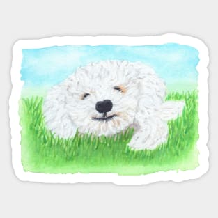 Smiling dog Sticker